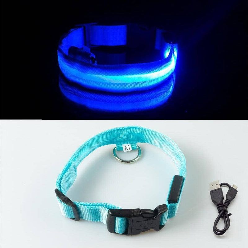 Coleira LED Para Cães e Gatos - Pet Light Coleira LED BlackOn-line azul USB PP 