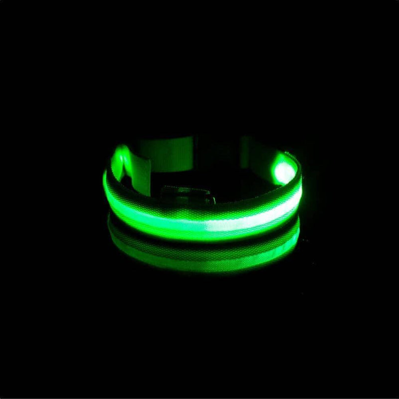 Coleira LED Para Cães e Gatos - Pet Light Coleira LED BlackOn-line verde USB PP 